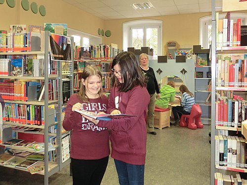 _2014_03_19_mlrs_5c (6).JPG